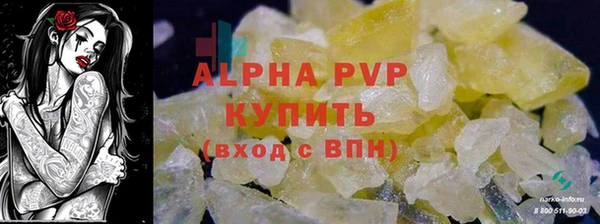 винт Богданович